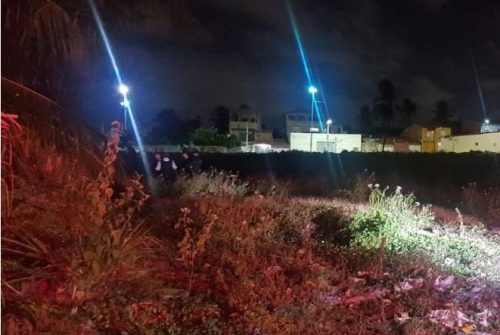 Os corpos das vítimas foram encontrados por policiais militares neste matagal