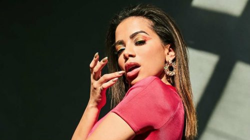 Anitta volta para casa e é recebida por seus pets