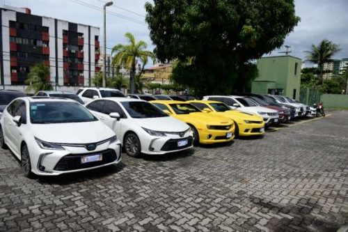 (Foto: divulgação/Polícia Civil)