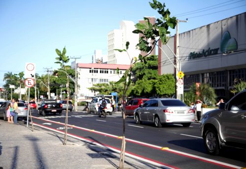 (Foto: Thiago Gaspar/Prefeitura de Fortaleza)