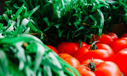 Municípios da Ibiapaba registram o maior volume de produção agrícola do Ceará