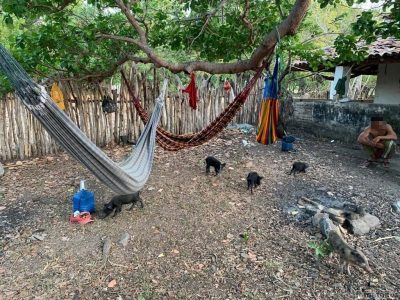 (Foto: divulgação/MPT)