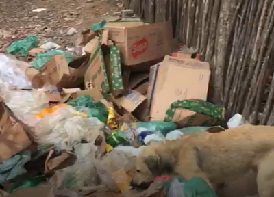 O suplente Aluísio Veras fez um apelo ao prefeito da cidade e a empresa que faz a coleta. (Foto: reprodução/vídeo)