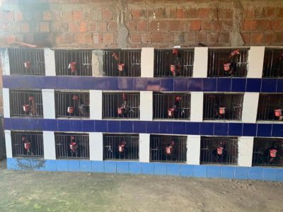 (Foto: divulgação/Polícia Civil)