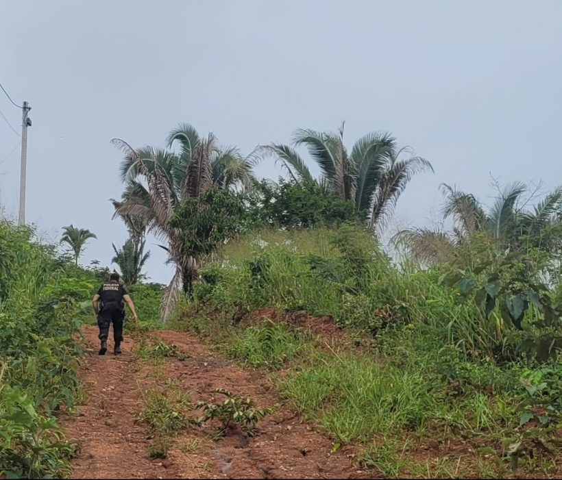 Polícia Federal combate crime de moeda falsa em Palmácia