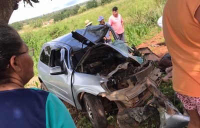 Colisão contra árvore deixou um homem morto e outro ferido. (Foto: reprodução)
