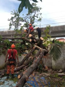(Foto: divulgação/Corpo de Bombeiros)