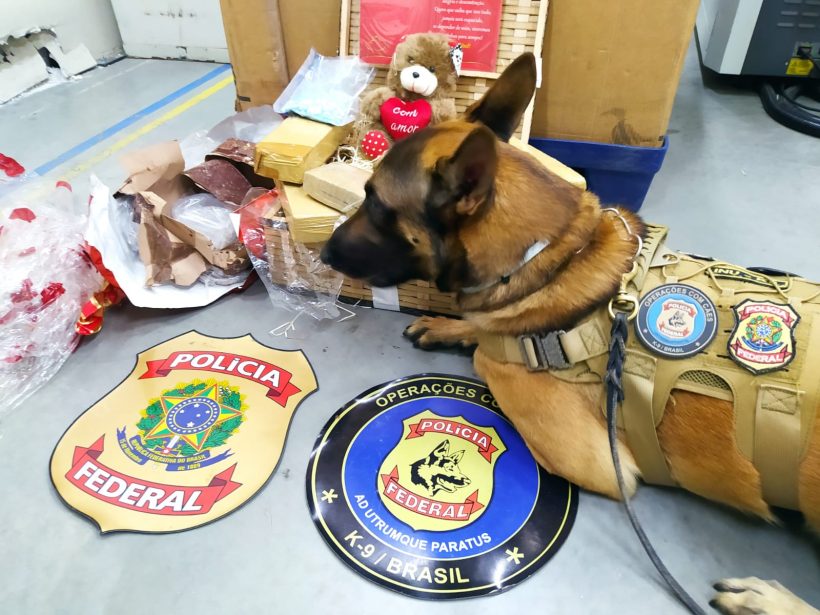 Polícia Federal apreende 4,4 kg de maconha em centro de distribuição dos Correios