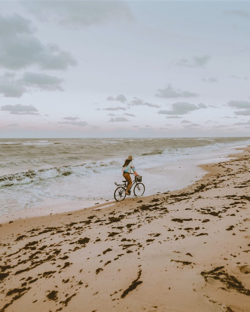 Praia de Jericoacoara sofre com grande quantidade de algas na orla