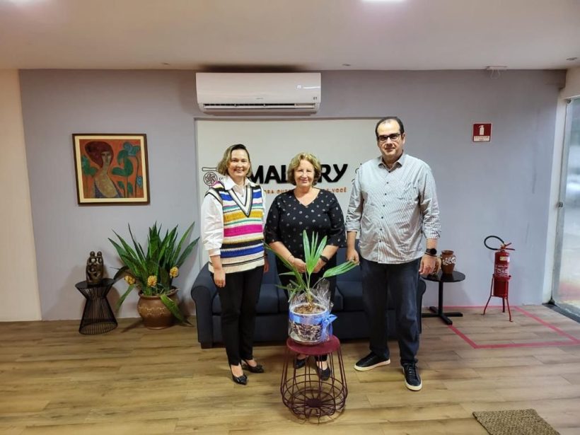 Grupo Mulheres do Brasil recebe diretoria do IBEF-CE