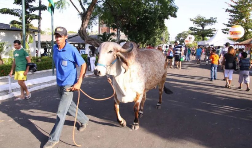 Expoece volta a acontecer após dois anos sem evento em decorrência da pandemia