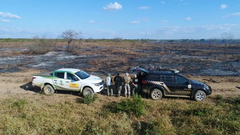 Polícia Federal flagra desmatamento na Floresta Nacional do Araripe no Crato