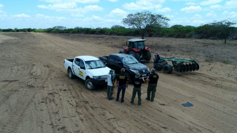 PF flagra desmatamento na Floresta Nacional do Araripe em Santana do Cariri