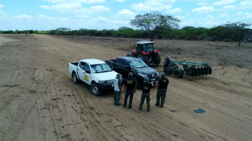 PF flagra desmatamento na Floresta Nacional do Araripe em Santana do Cariri