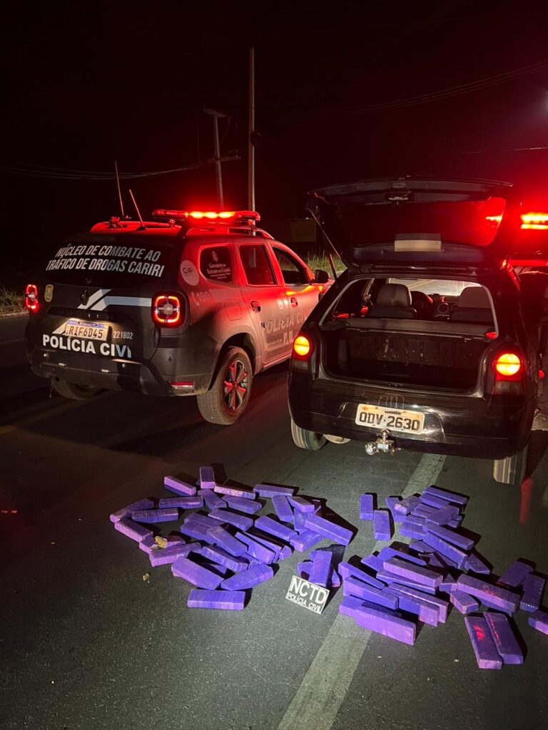(Foto: reprodução/Polícia Civil)