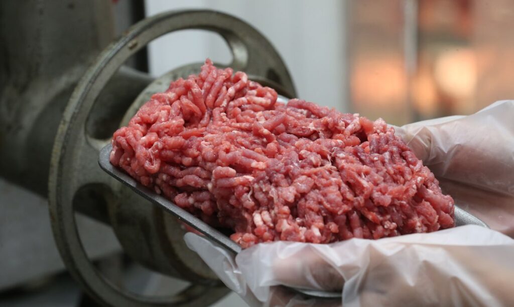 União Europeia proíbe entrada de carne bovina brasileira por exigências sanitárias