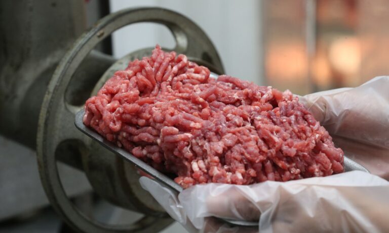 União Europeia proíbe entrada de carne bovina brasileira por exigências sanitárias