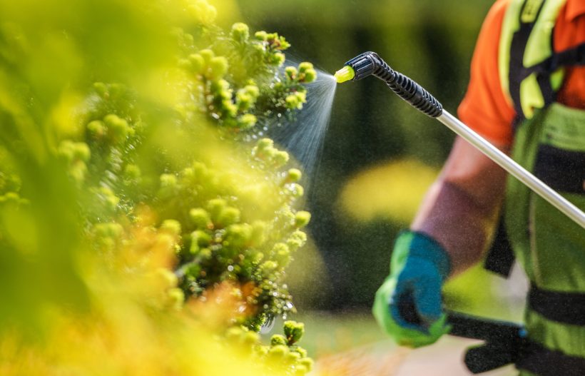 Ceará é peça-chave para o Brasil reduzir dependência da importação de fertilizantes