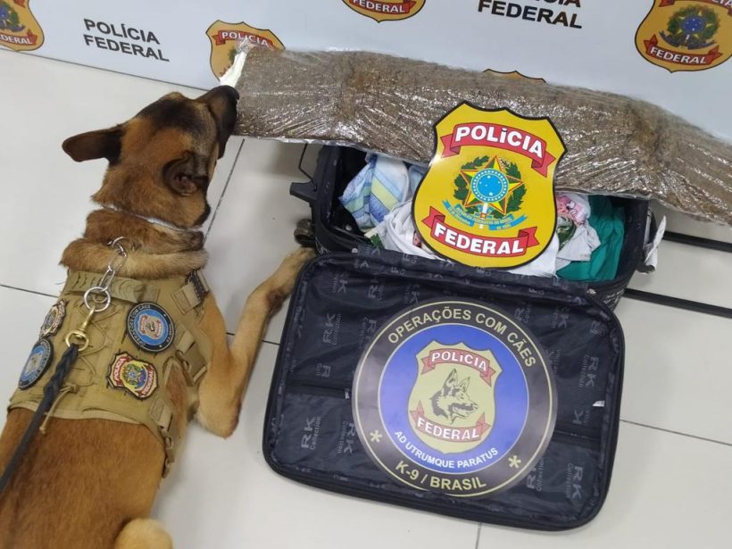 Mulher é presa por tráfico de drogas no Aeroporto de Fortaleza