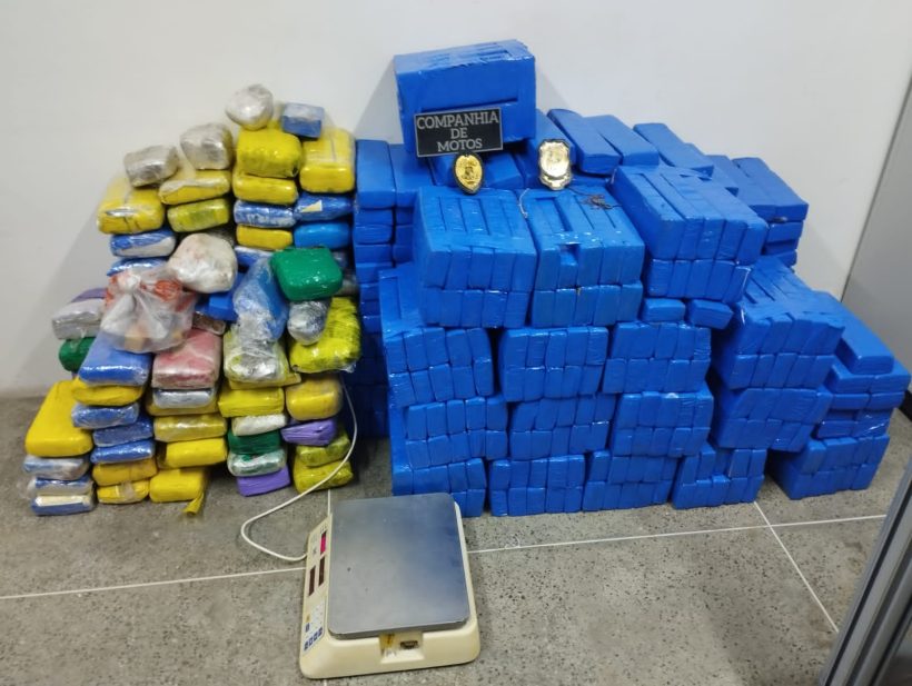 Polícia Civil apreende quase 400 quilos de maconha em Fortaleza