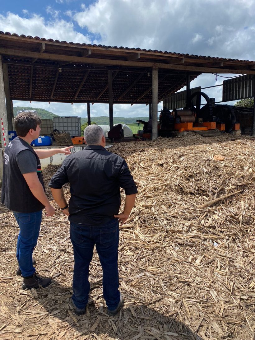 Decon-CE fiscaliza estabelecimentos do interior e apreende 33 mil litros de cachaça
