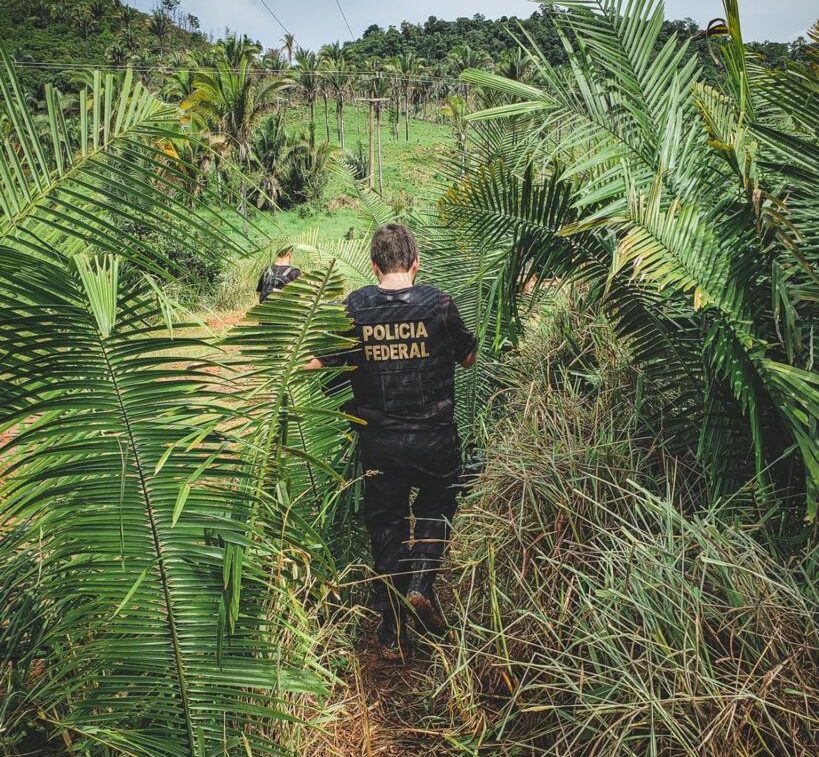 PF deflagra operação para combater exploração de crianças e adolescentes