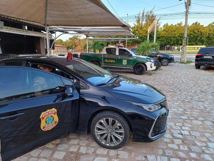 PF deflagra operação contra comércio ilícito de lagostas no Ceará