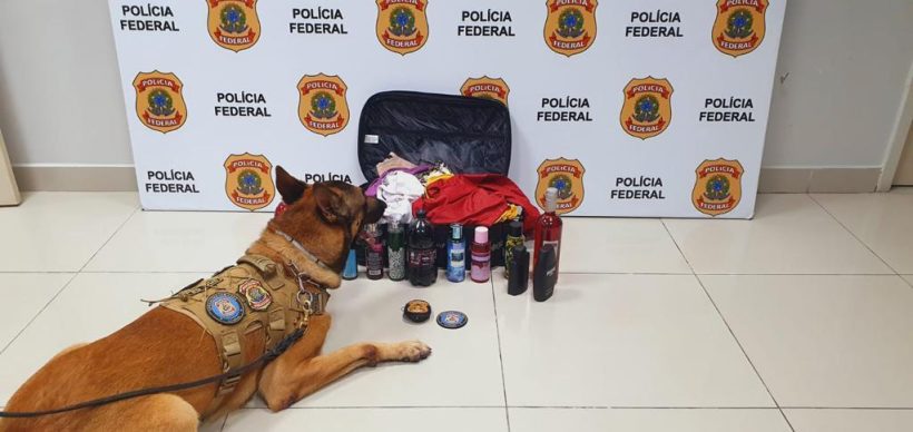 PF apreende cocaína e prende passageira por tráfico internacional de drogas em Fortaleza