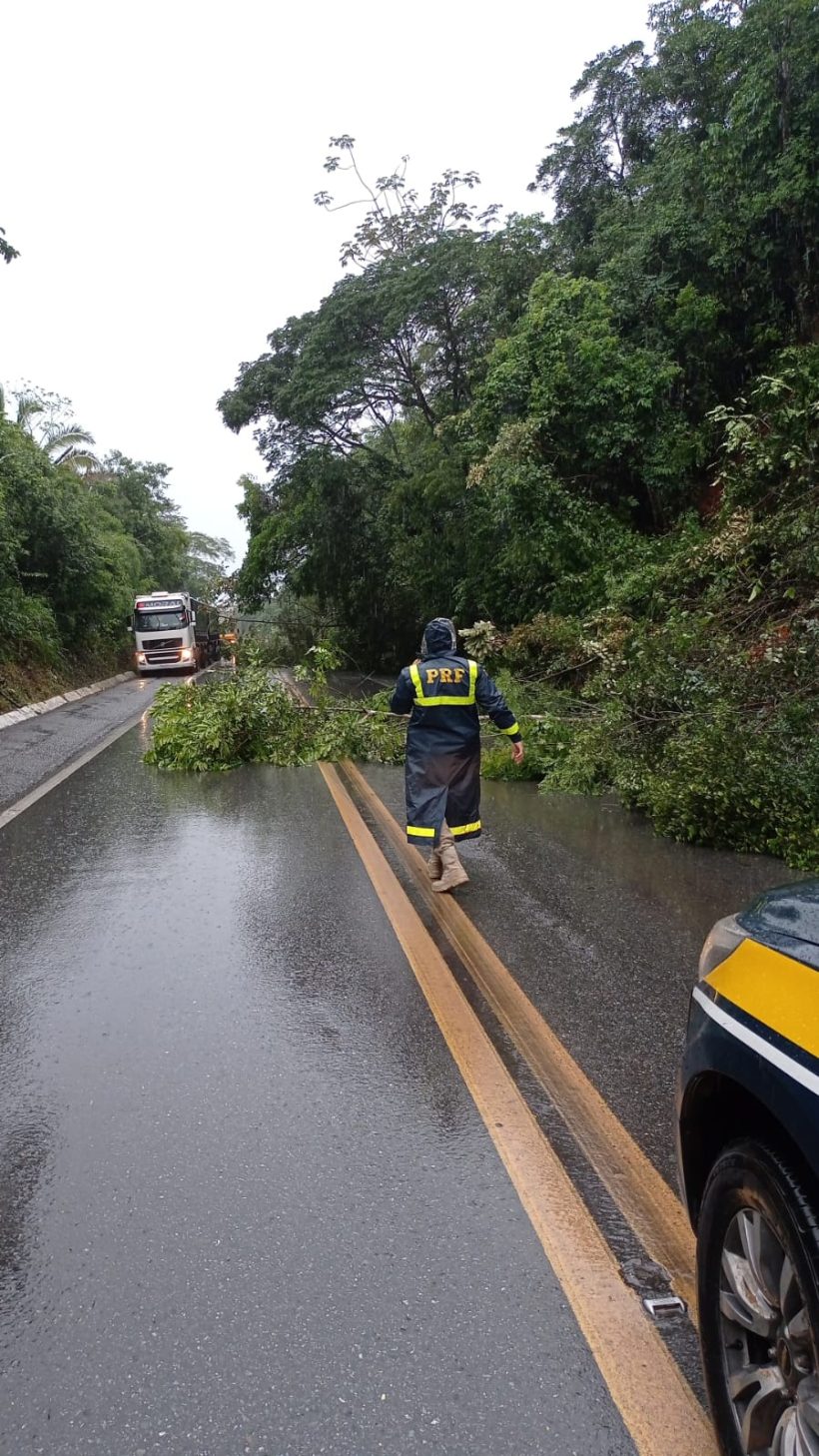 Deslizamento de terra interdita duas faixas do Km 304 da BR-222 em Tianguá