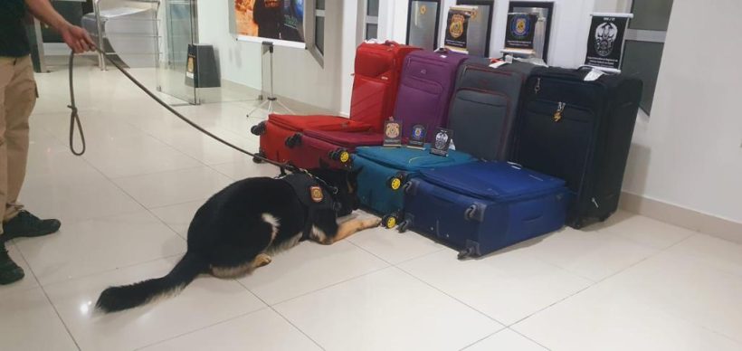 PF captura oito pessoas transportando 23 kg de cocaína no Aeroporto de Fortaleza