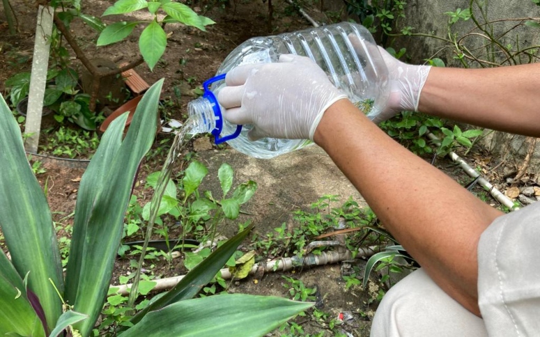 Ceará apresenta redução de 55,2% nos casos de dengue, chikungunya e zika