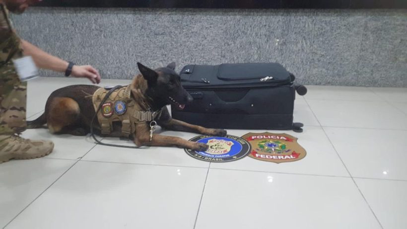 PF prende passageiro por tráfico internacional de drogas no Aeroporto de Fortaleza