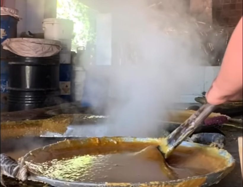 Prefeitura de Pindoretama realiza 15º Festival Internacional da Cana-de-Açúcar