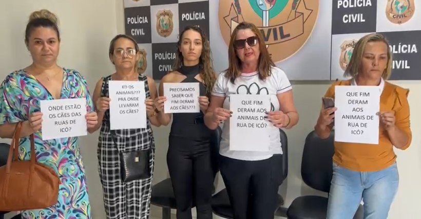 População denuncia sumiço de cães de rua em Icó e Polícia Civil é acionada