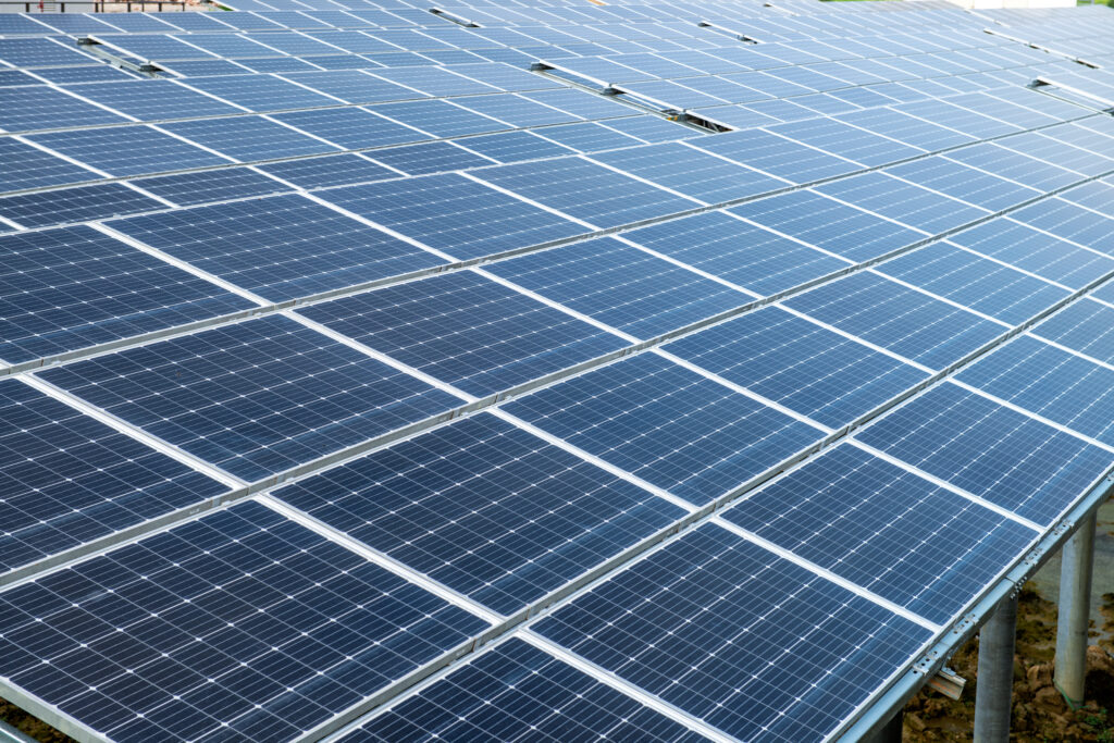 Painéis solares. (Foto: banco de imagens)
