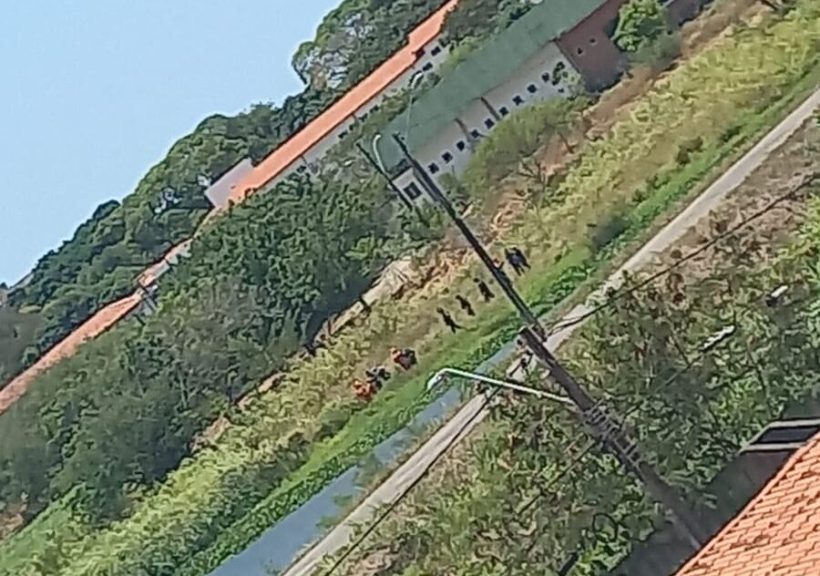 Corpo de criança que estava desaparecida é encontrado em lagoa na UECE