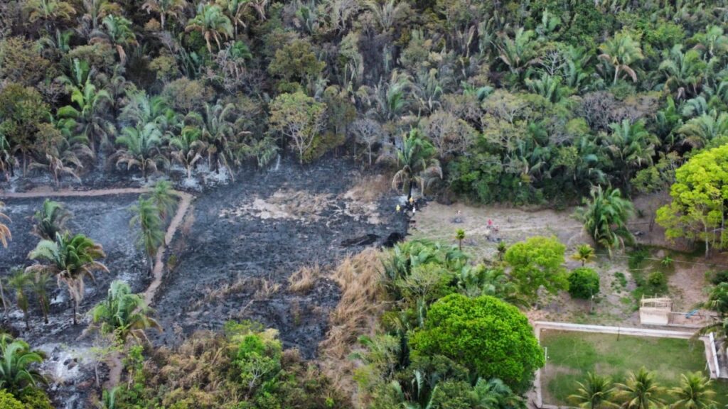 Temporada crítica de queimadas preocupa com aumento de incêndios
