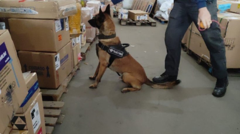 Receita Federal apreende 8,5 kg de ‘Skunk’ no Aeroporto de Fortaleza