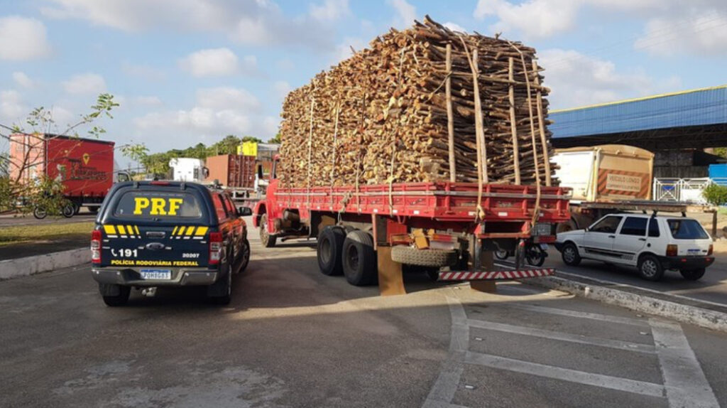 PRF apreende carga de madeira ilegal na BR-116