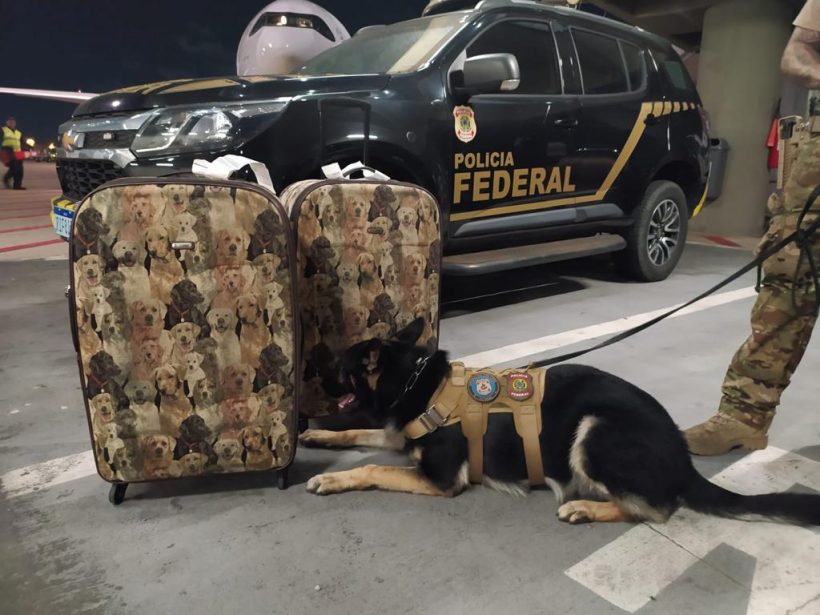 PF captura mulher com 5 kg de cocaína no Aeroporto de Fortaleza