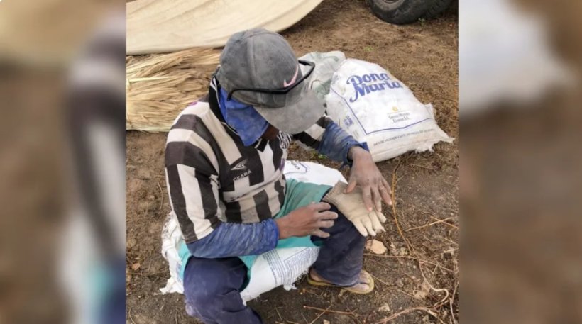 Ministério do Trabalho resgata homens em condições análogas à escravidão em Pacujá