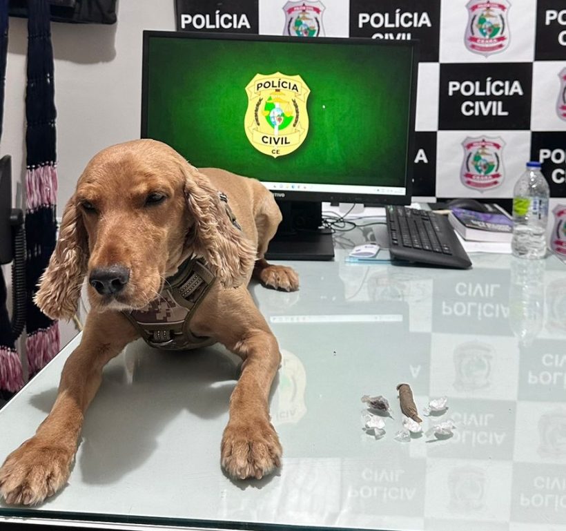 Homem com antecedentes é preso com o apoio do cão farejador em Senador Pompeu