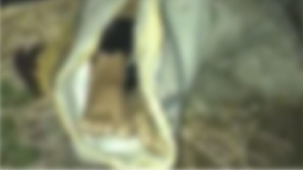 Foto: Arquivo Pessoal