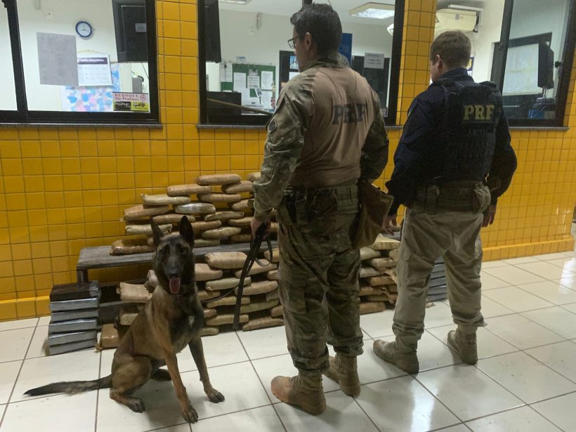 Polícia Rodoviária Federal apreende 115 quilos de drogas em Caucaia