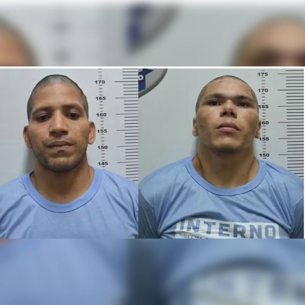 (Foto: reprodução)