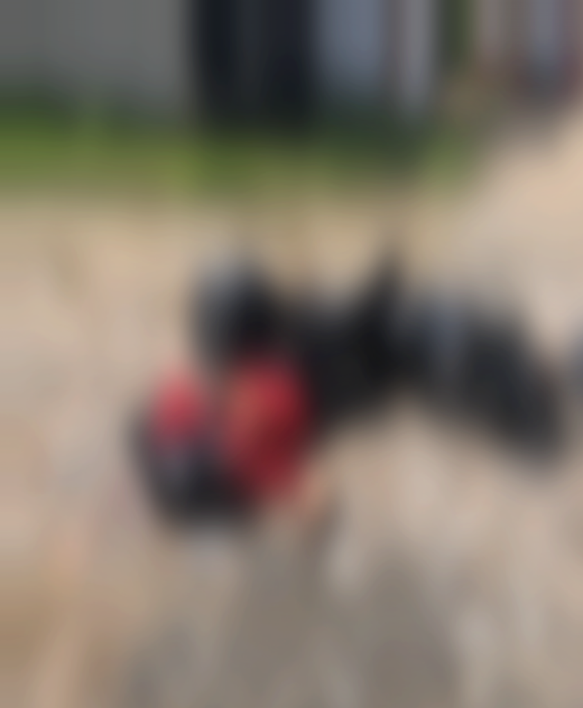 (Foto: reprodução/WhatsApp)