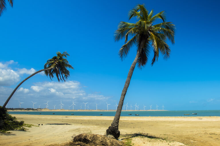 Projeto Praia da Música Cearense celebra um ano em Icaraizinho de Amontada