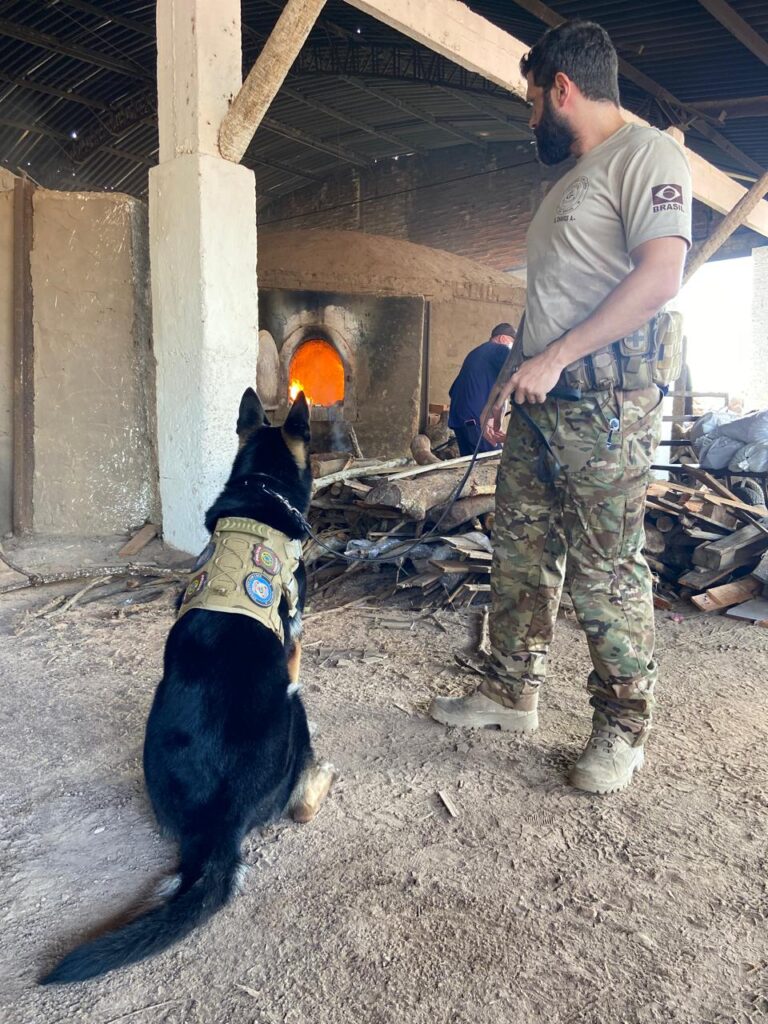 Foto: Polícia Federal Ceará
