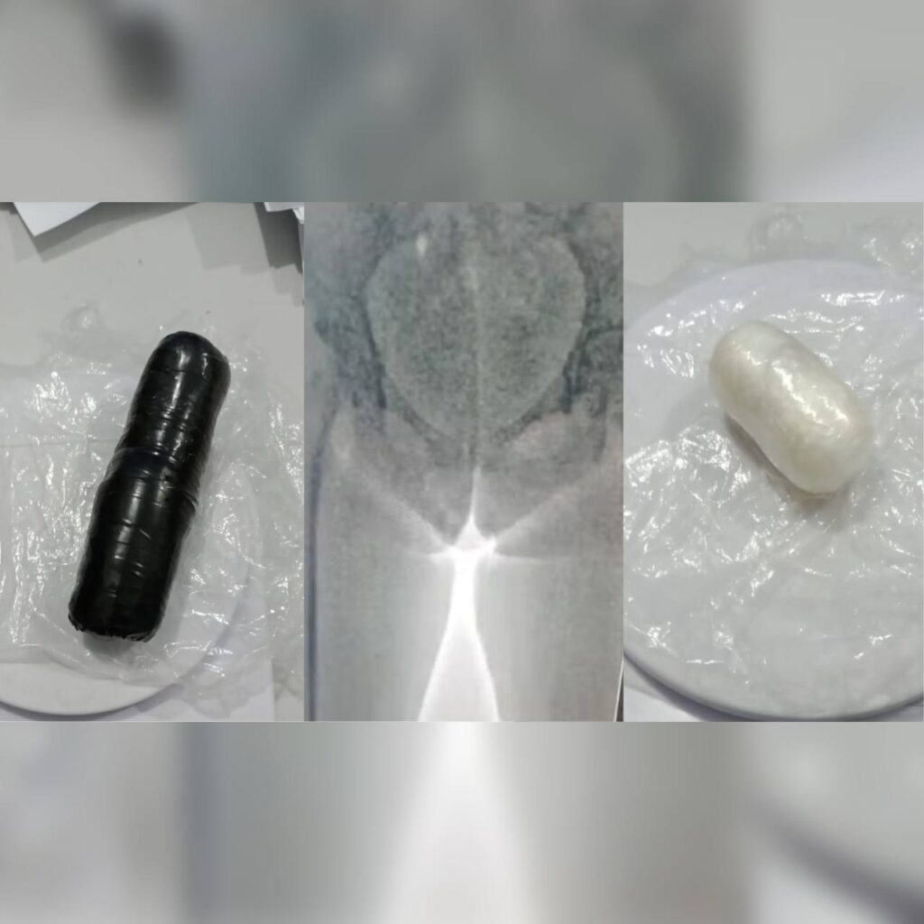 (Foto: reprodução)