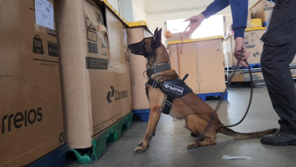 Receita Federal apreende 9 kg de cocaína em encomenda postal